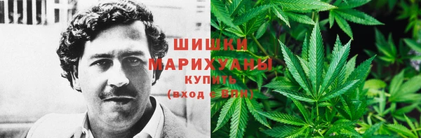 крисы Бабаево