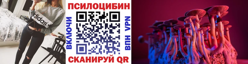 где можно купить наркотик  гидра сайт  Галлюциногенные грибы Psilocybine cubensis  Егорьевск 