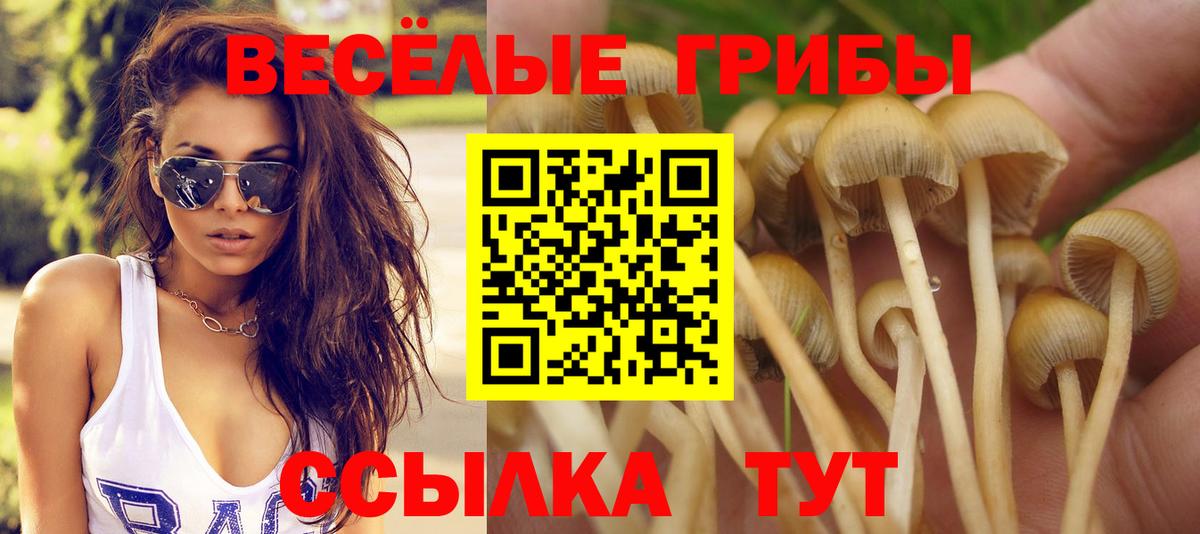 как найти закладки  Галлюциногенные грибы MAGIC MUSHROOMS  Вход с VPN  Егорьевск 