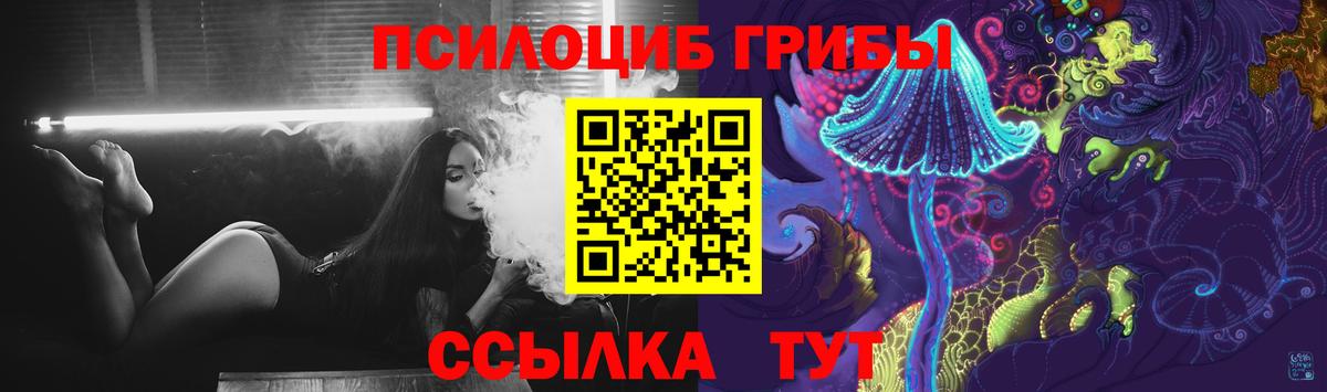 Галлюциногенные грибы Cubensis Егорьевск